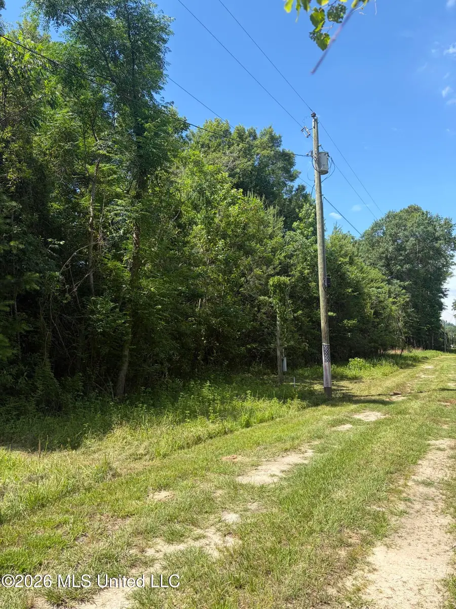 Ann Hinton Road, Beaumont, MS 39423 - #3