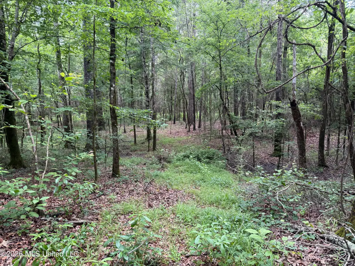 River Ridge Road, Terry, MS 39170 - #1