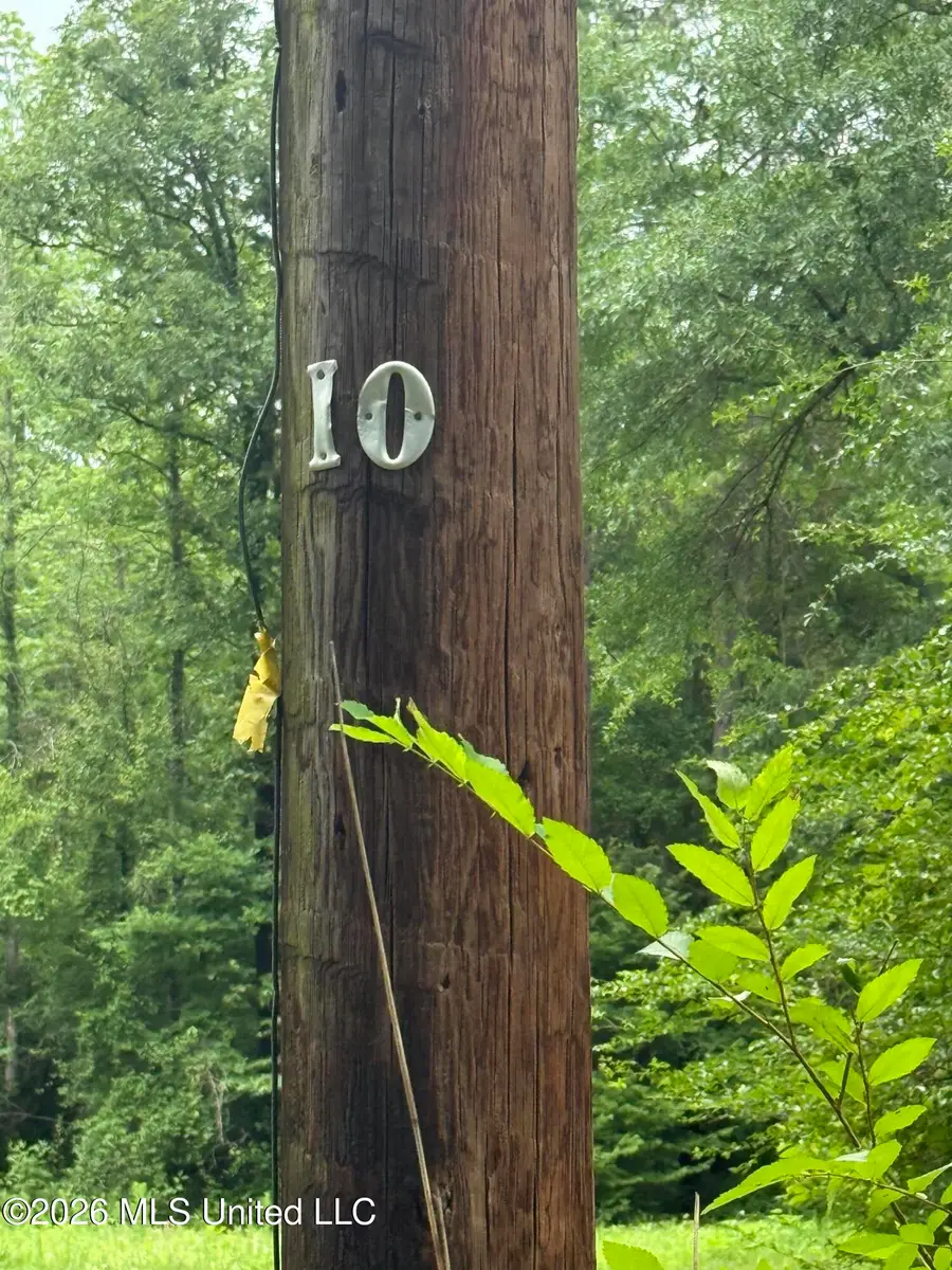 River Ridge Road, Terry, MS 39170 - #2