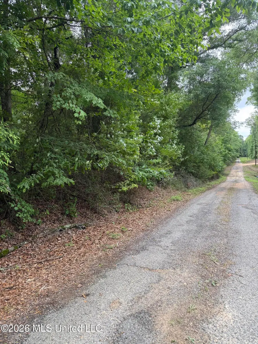 River Ridge Road, Terry, MS 39170 - #3