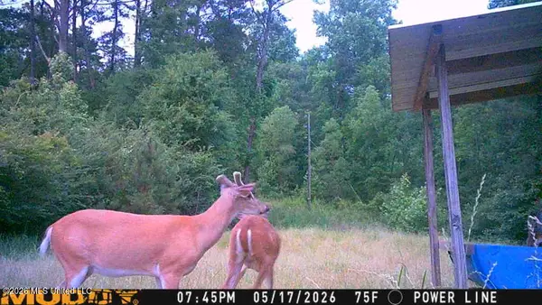 189 Co Rd 2337, Bay Springs, MS 39422