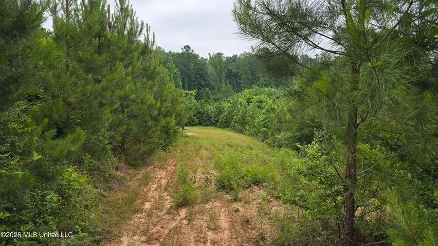 189 Co Rd 2337, Bay Springs, MS 39422 - #3