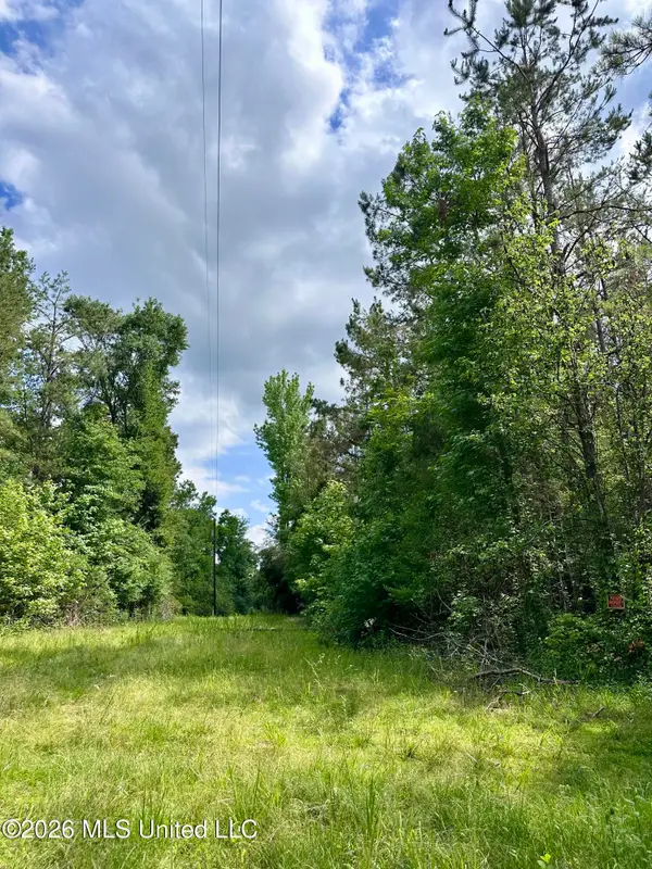 Owens Cut-off Road, Durant, MS 39063