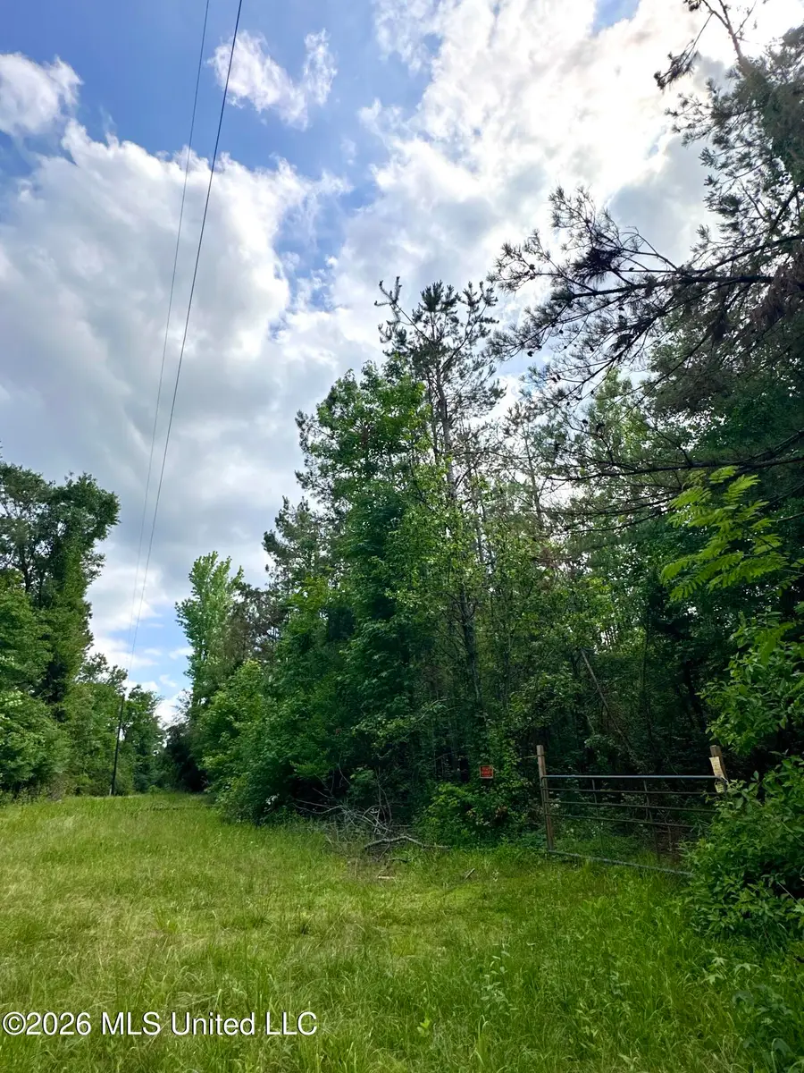 Owens Cut-off Road, Durant, MS 39063 - #3