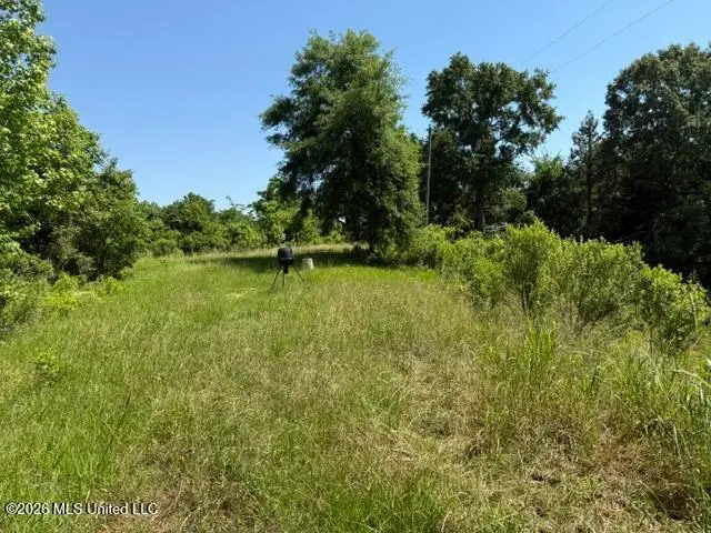 53 Cliffs Plantation Road, Natchez, MS 39120 - #1