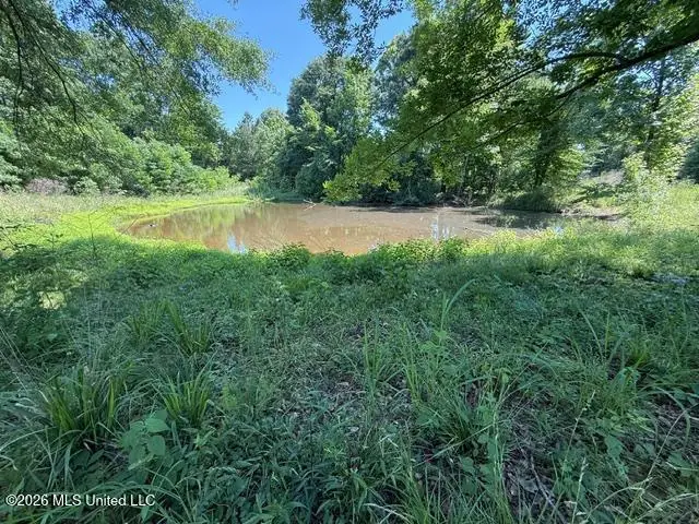 53 Cliffs Plantation Road, Natchez, MS 39120 - #3