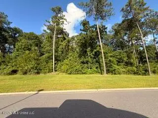 Osprey Drive, Ocean Springs, MS 39564 - #3
