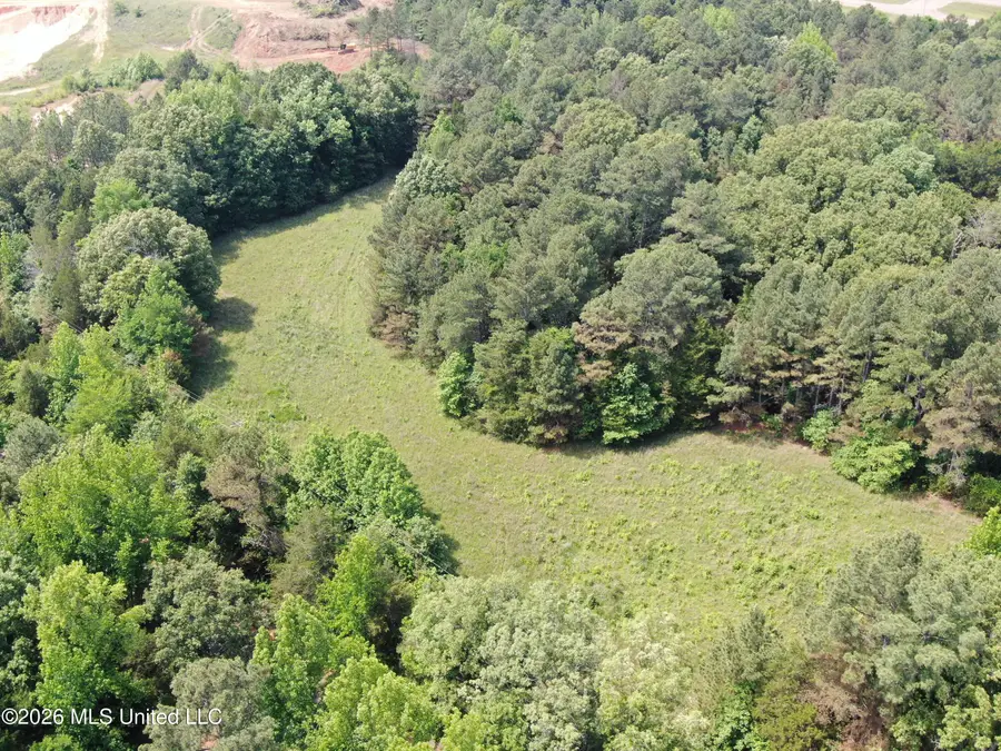 500 Boswell Road, Holly Springs, MS 38635 - #3