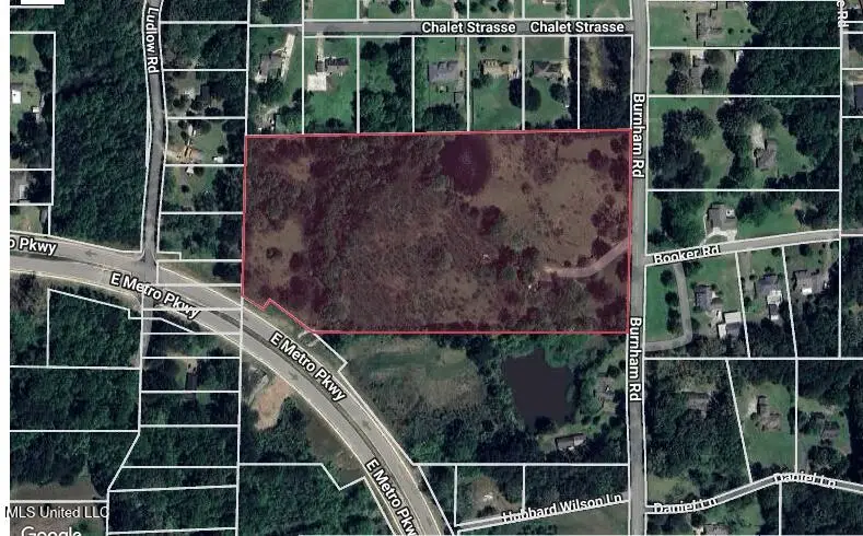 225 Burnham Road, Brandon, MS 39042 - #1