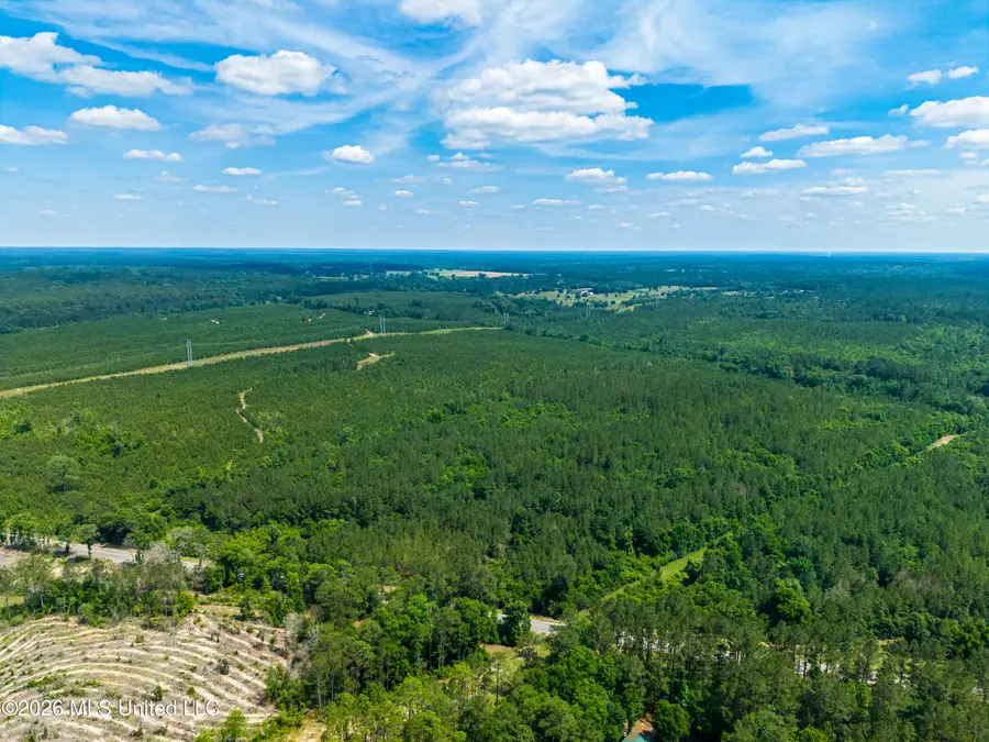 Hwy 43 N Hwy 43, Poplarville, MS 39470 - #3