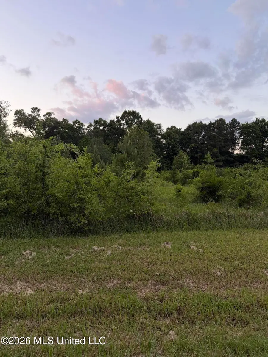 2771 E Mchenry Road, Saucier, MS 39574 - #2