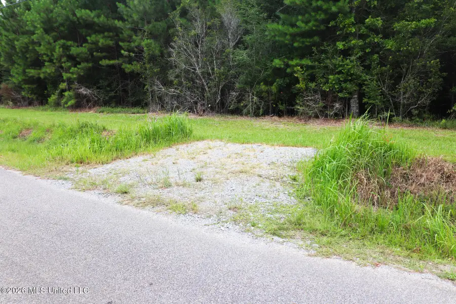 Alcede Lizana Road, Gulfport, MS 39503 - #3