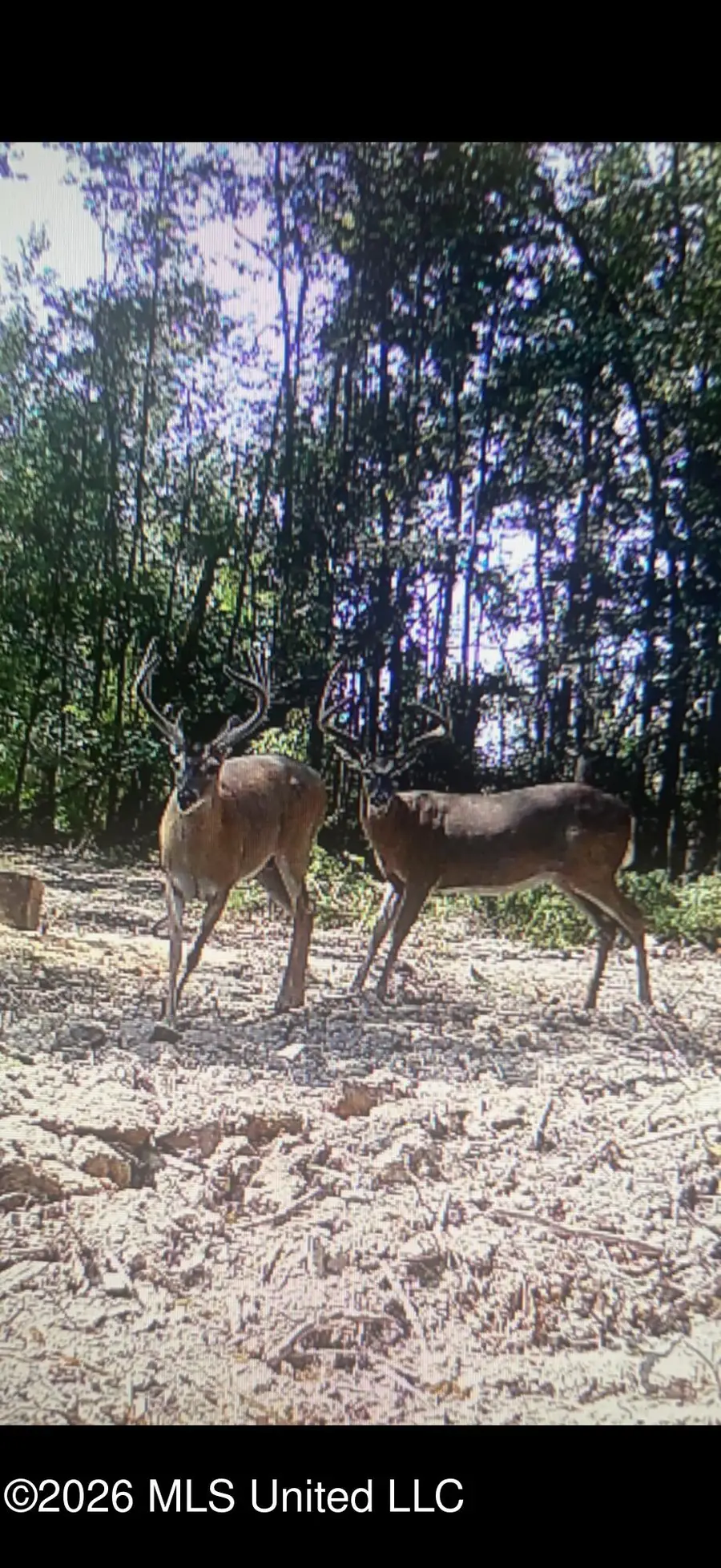 0 E Doc Clark Road, Morton, MS 39117 - #2