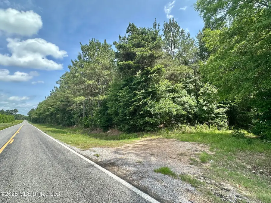 0 Highway 483, Morton, MS 39117 - #3