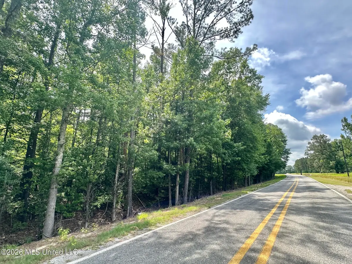 1 Highway 483, Morton, MS 39117 - #1