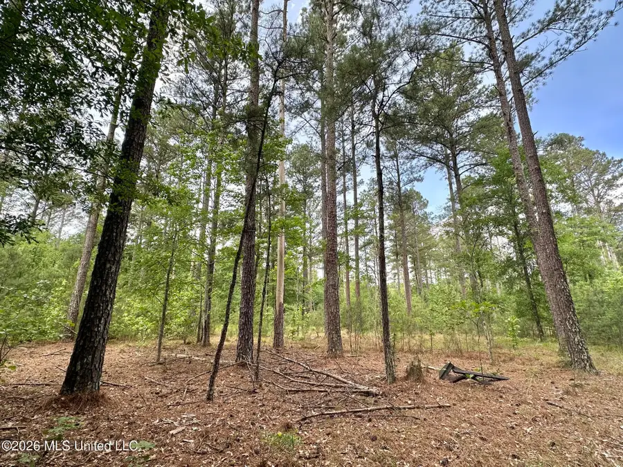 1 Highway 483, Morton, MS 39117 - #3