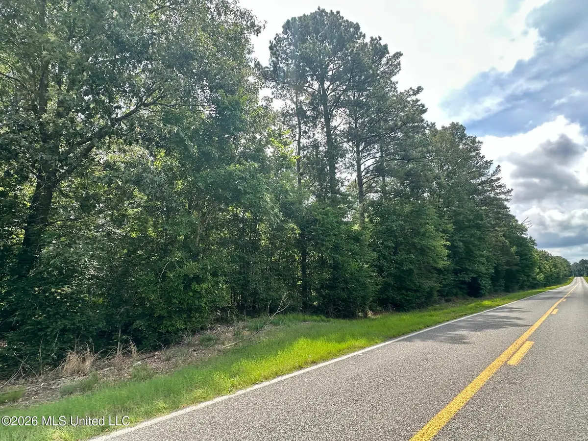 2 Highway 483, Morton, MS 39117 - #1