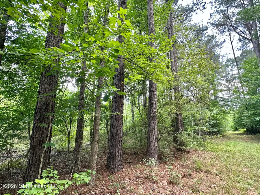 2 Highway 483, Morton, MS 39117 - #3