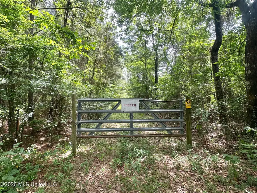 3 Highway 483, Morton, MS 39117 - #2