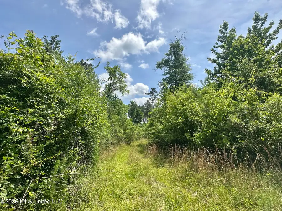 3 Highway 483, Morton, MS 39117 - #3