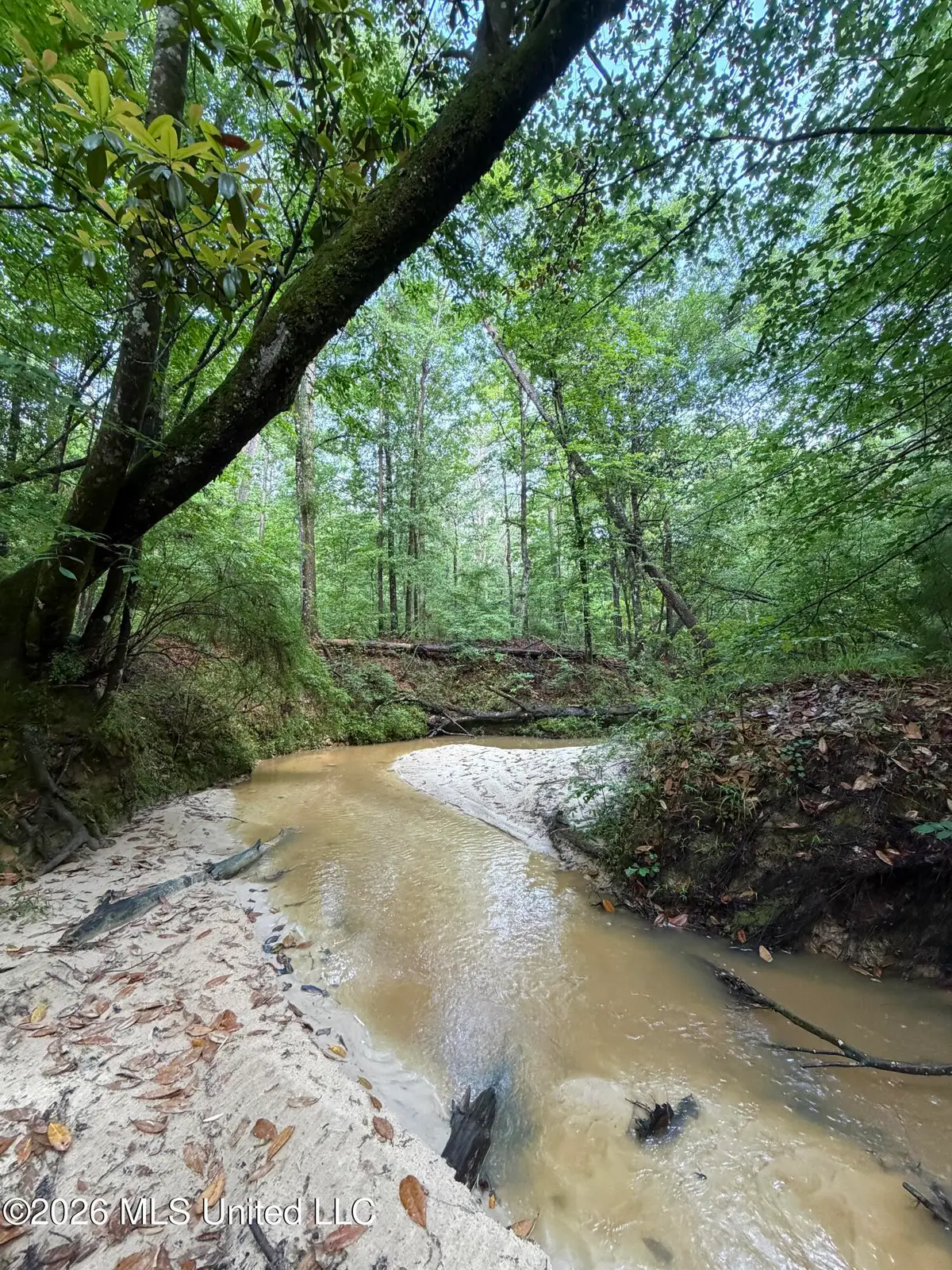 E Poor House Road, Woodville, MS 39669 - #1