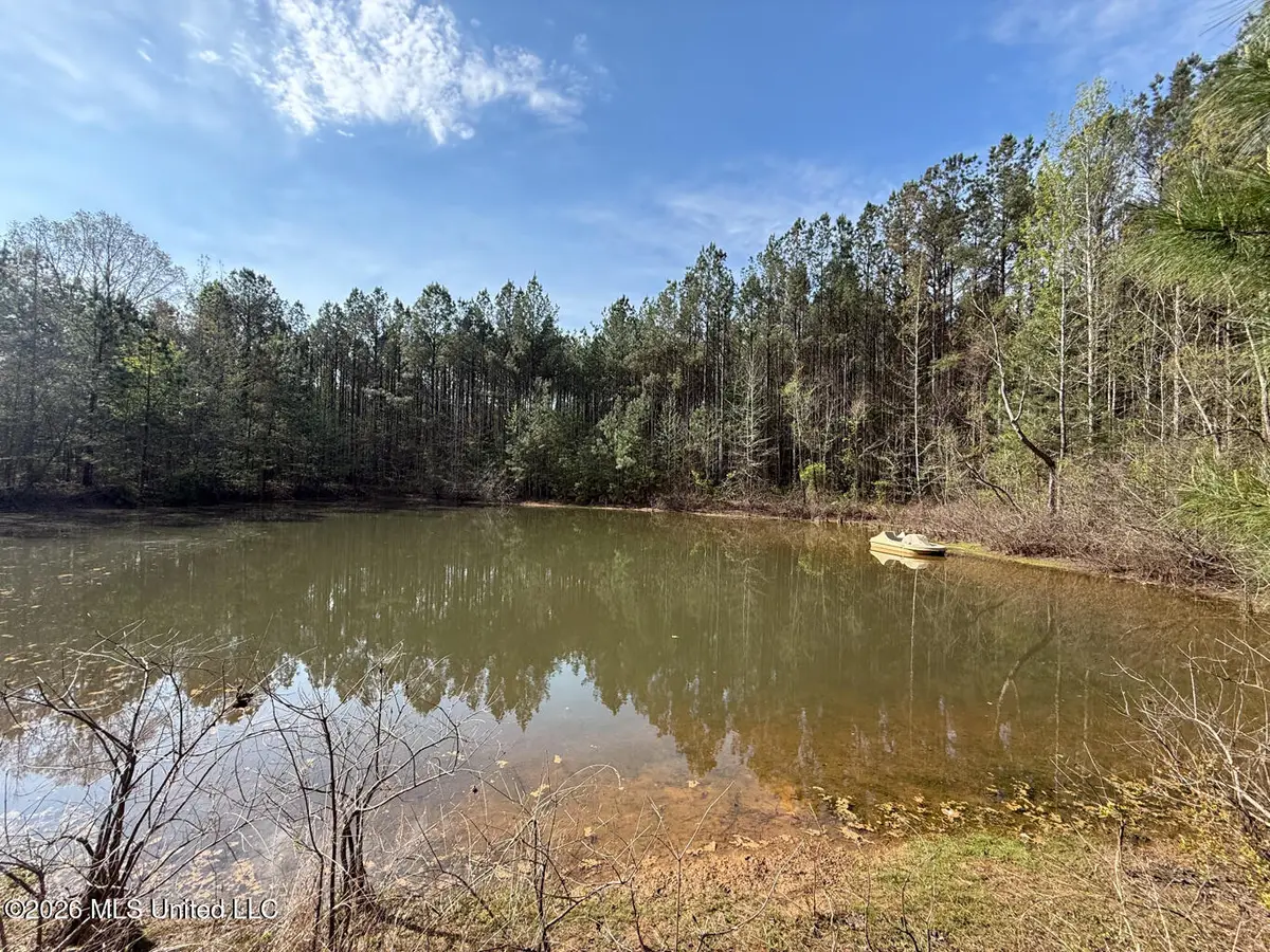 2893 Truesdale Road, Carthage, MS 39051 - #1