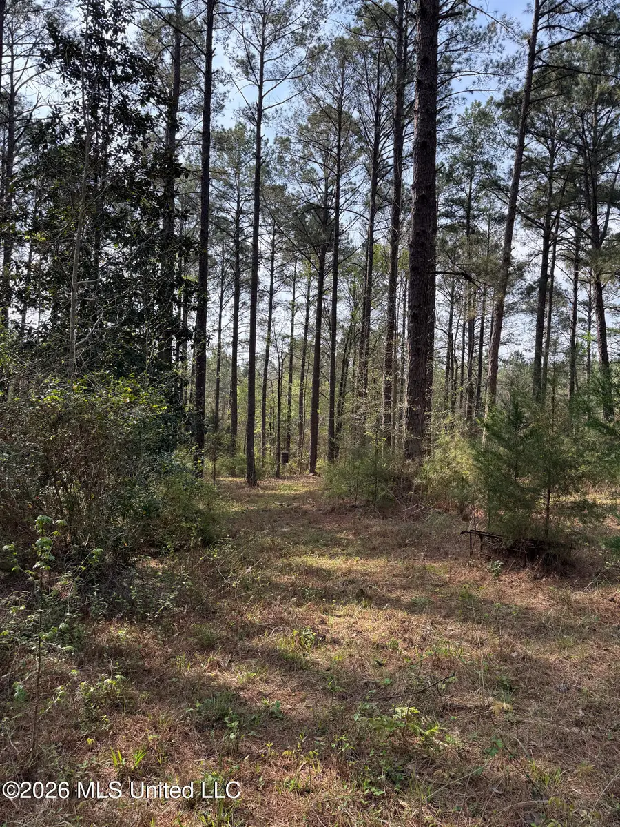 2893 Truesdale Road, Carthage, MS 39051 - #3