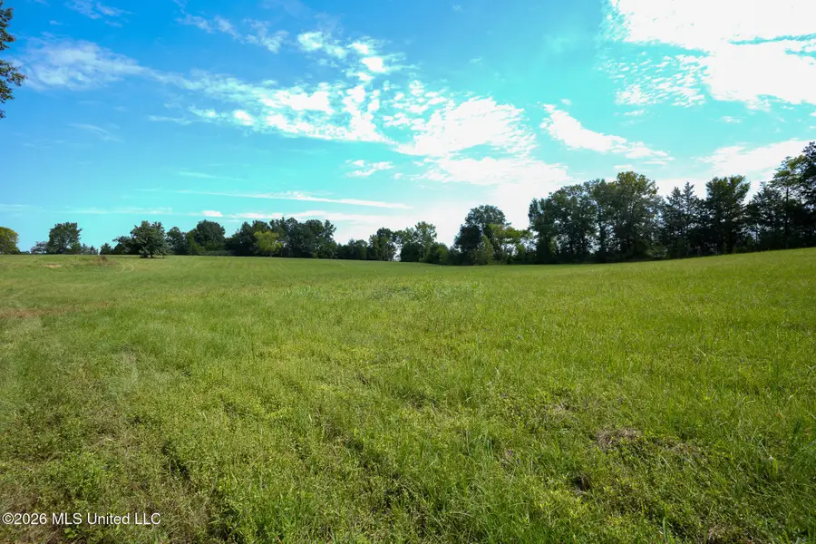 Grand Oaks Way, Flora, MS 39071 - #3