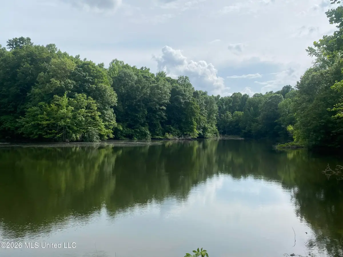 5317 Highway 3, Sarah, MS 38665 - #1