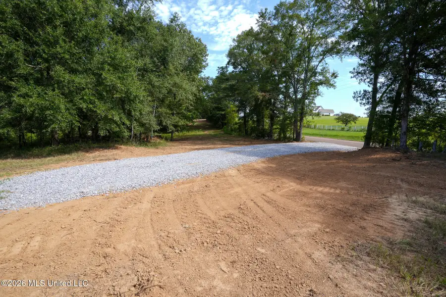 Cane Creek Road, Flora, MS 39071 - #2
