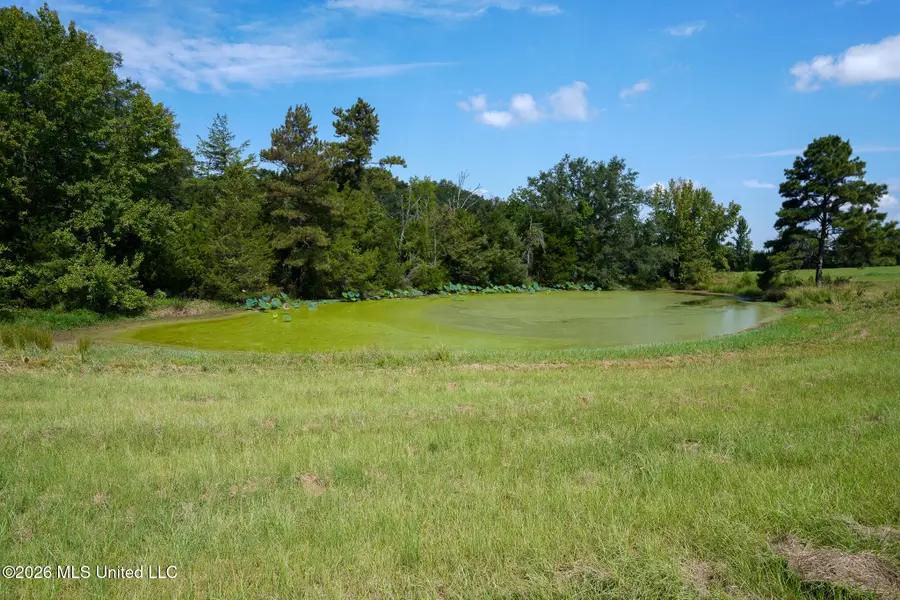Grand Oaks Way, Flora, MS 39071 - #3