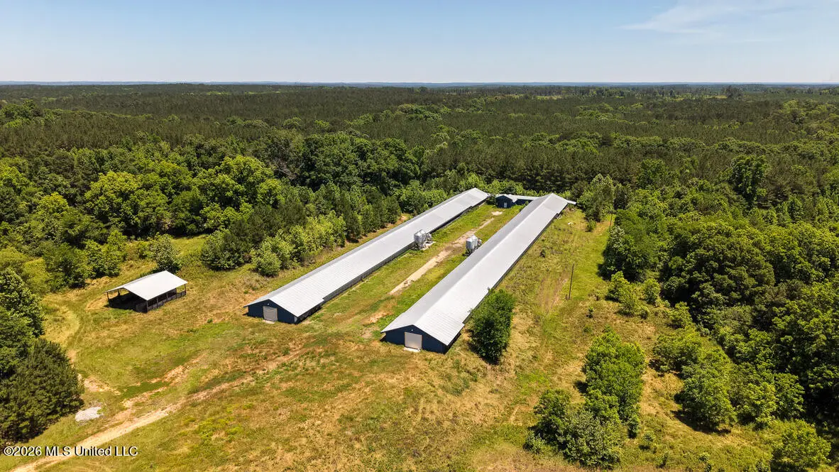 3037 Hickory Fellowship Road, Hickory, MS 39332 - #1