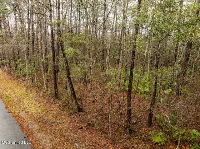 Lot 3099 Lynne Street, Ocean Springs, MS 39564 - #1