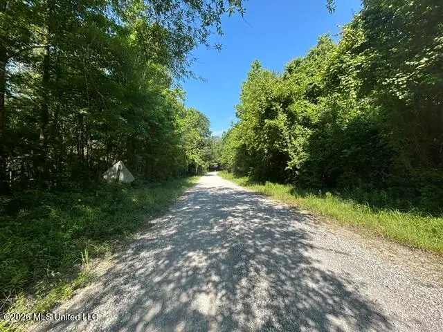Lower Gloster Road, Crosby, MS 39633 - #1