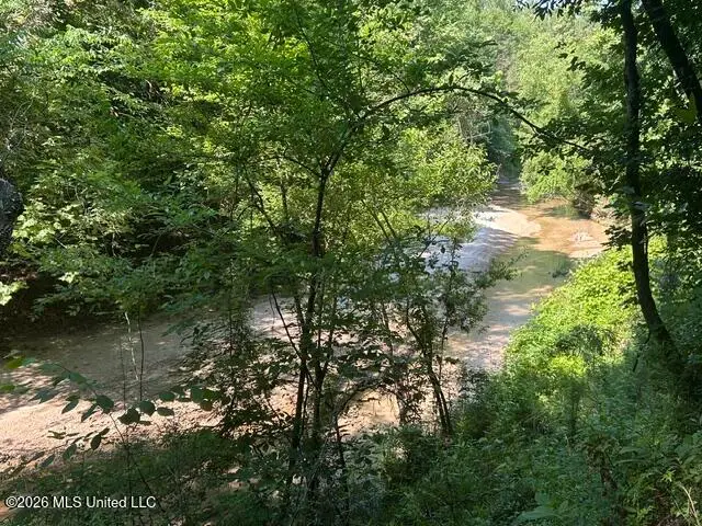 Lower Gloster Road, Crosby, MS 39633 - #2