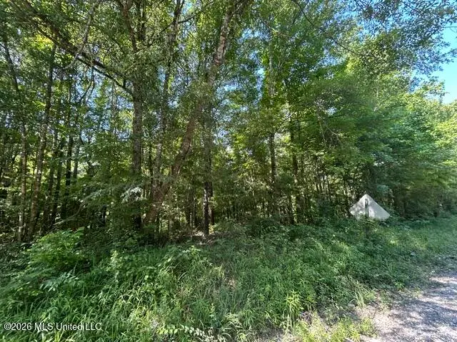 Lower Gloster Road, Crosby, MS 39633 - #3
