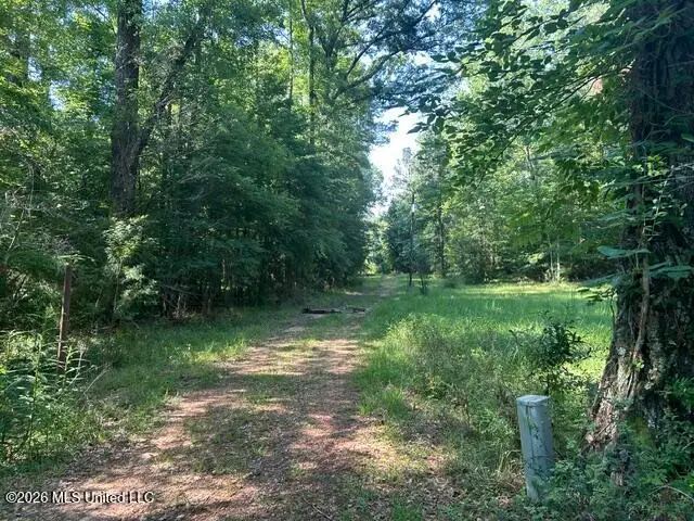 Parker Road, Crosby, MS 39633 - #1