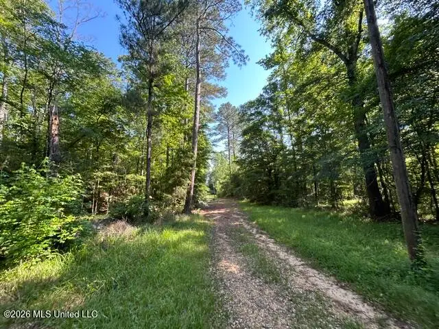 Parker Road, Crosby, MS 39633 - #2