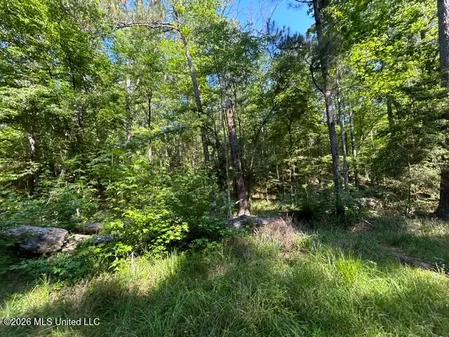 Parker Road, Crosby, MS 39633 - #3