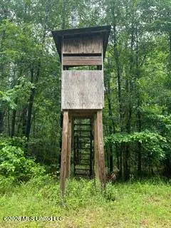 Lowenkamp Lane, Hazlehurst, MS 39083 - #2