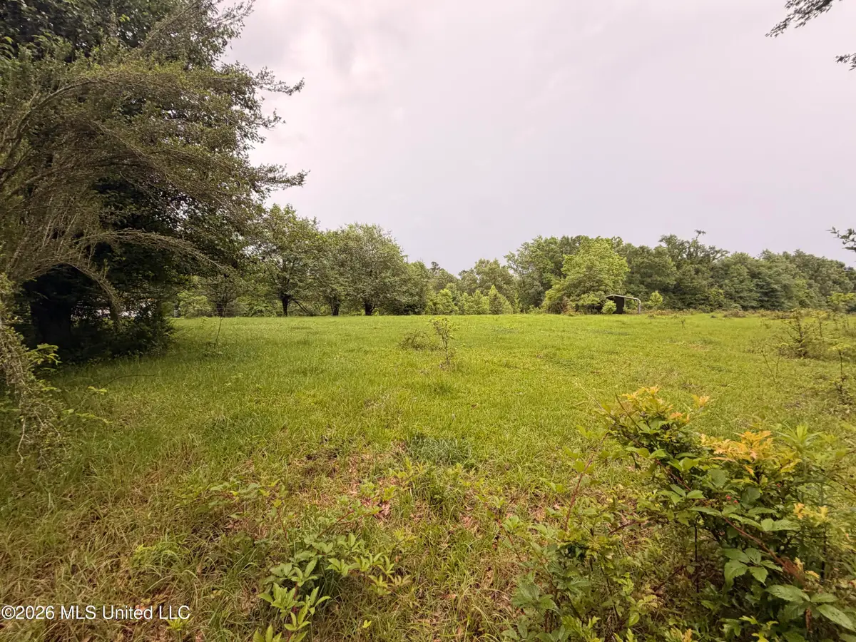 82 Sandpiper Road, Roxie, MS 39661 - #1