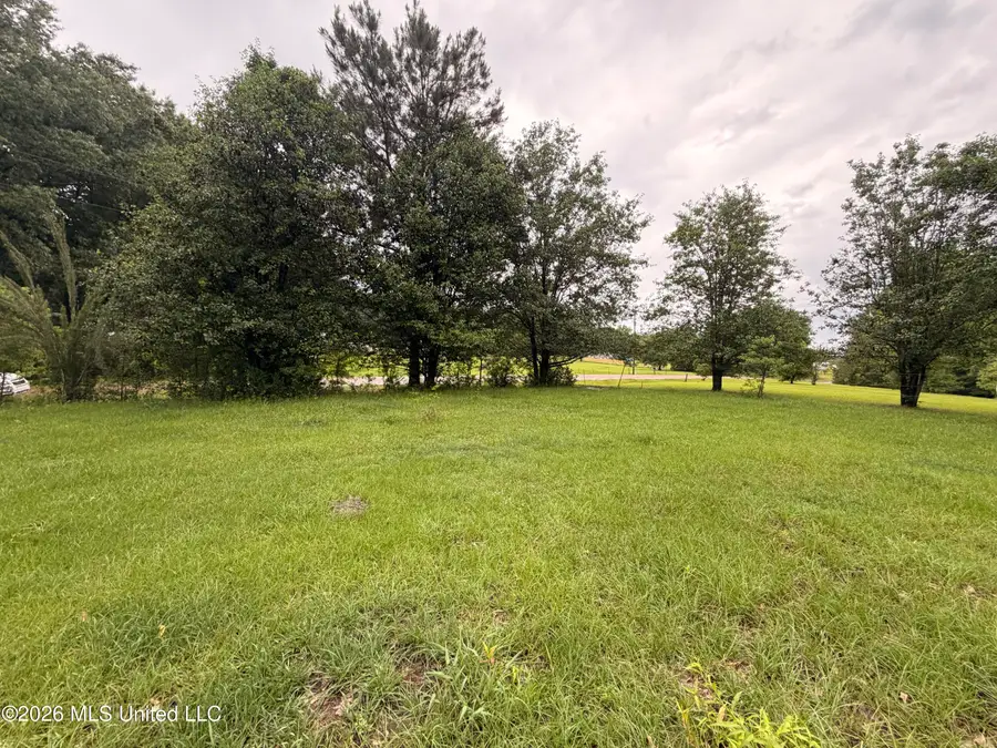 82 Sandpiper Road, Roxie, MS 39661 - #2