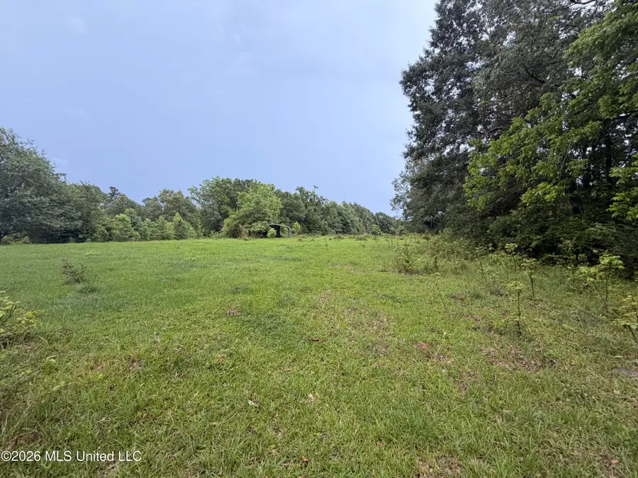82 Sandpiper Road, Roxie, MS 39661 - #3