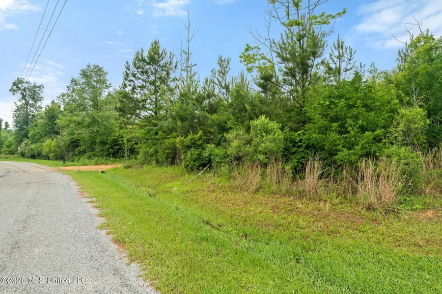 3167 NE Bahalia Road, Wesson, MS 39191 - #2