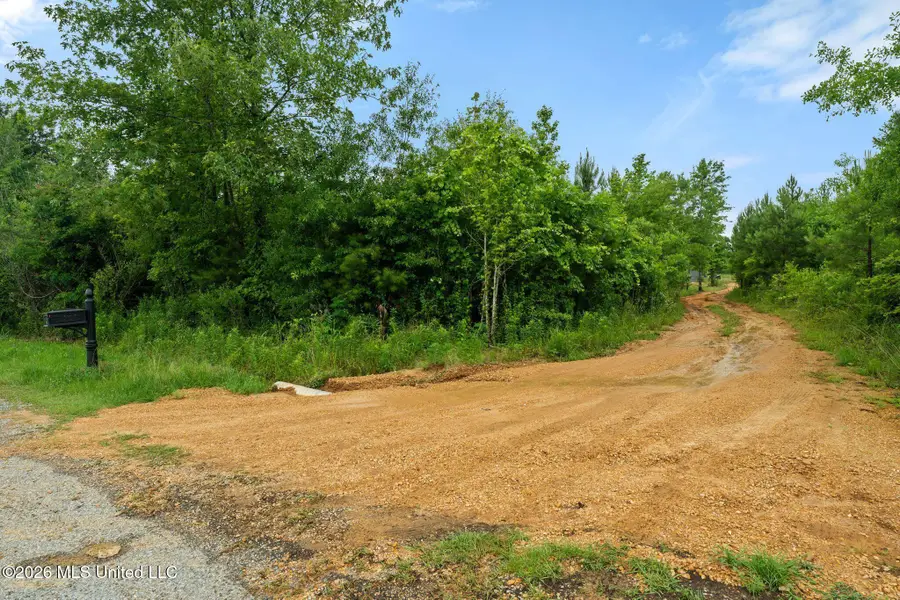 3167 NE Bahalia Road, Wesson, MS 39191 - #3