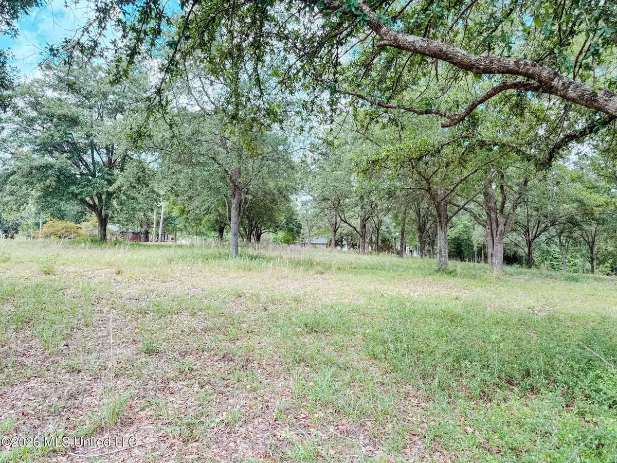 Redgate Road, Lucedale, MS 39452 - #1
