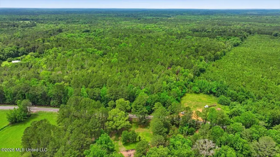 Hwy 43 Road, Camden, MS 39045 - #2
