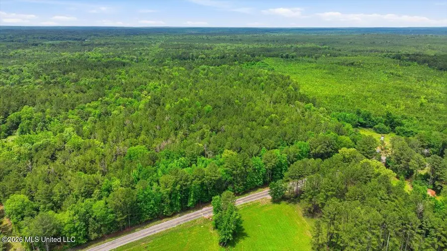 Hwy 43 Road, Camden, MS 39045 - #3