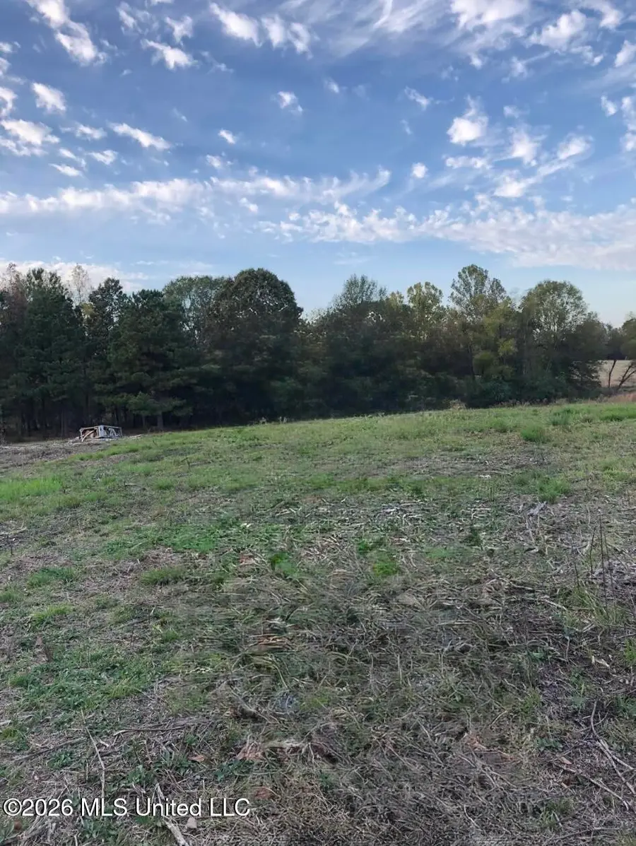 107 Cherrydale Drive, Coldwater, MS 38618 - #2