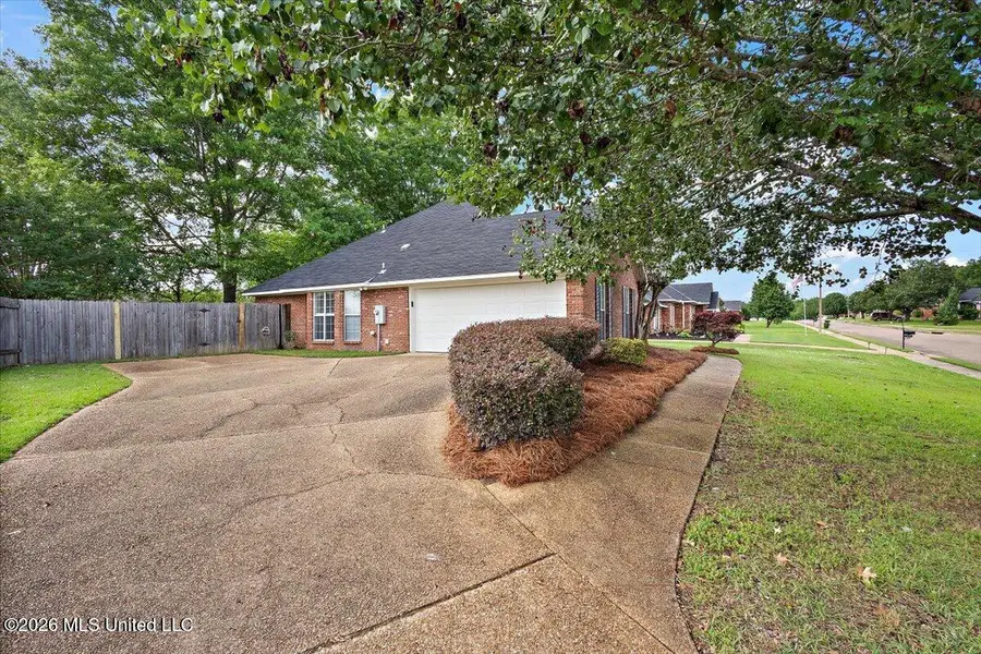 193 Peachtree Street, Brandon, MS 39042 - #3